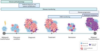 Editorial: The promise of immunogenetics for precision oncology